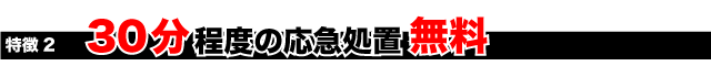 30分程度の応急処置無料